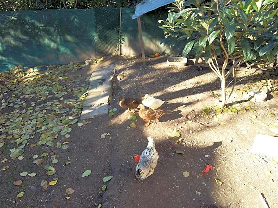 Residence Concaverde