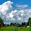 Ordieview Bed & Breakfast