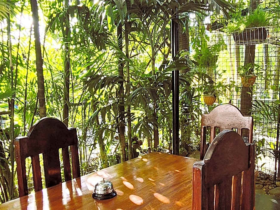 Green Turtle Backpackers Guesthouse, Puerto Princesa