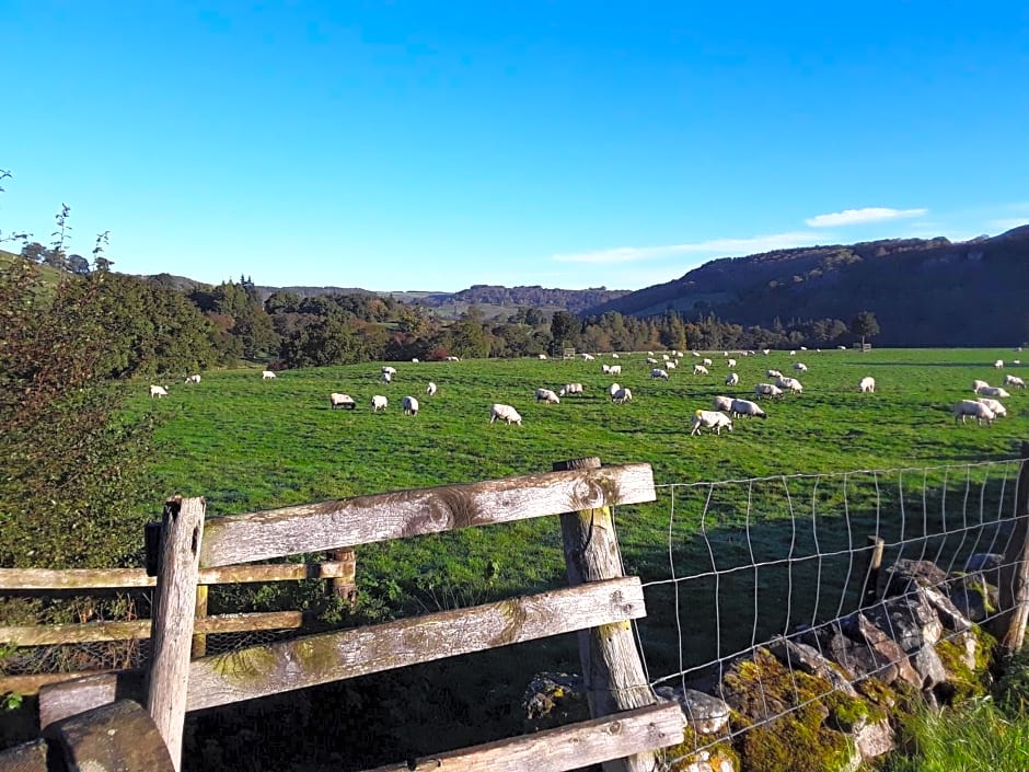 Ellerton Lodge Bed and Breakfast Swaledale