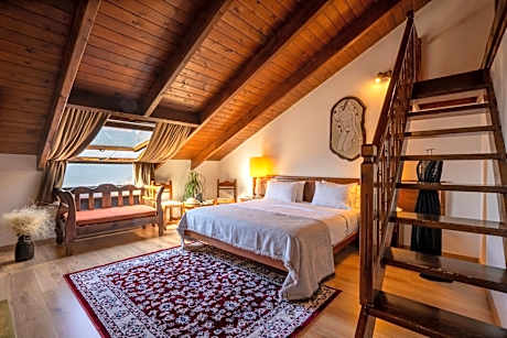 Domotel Anemolia Mountain Resort