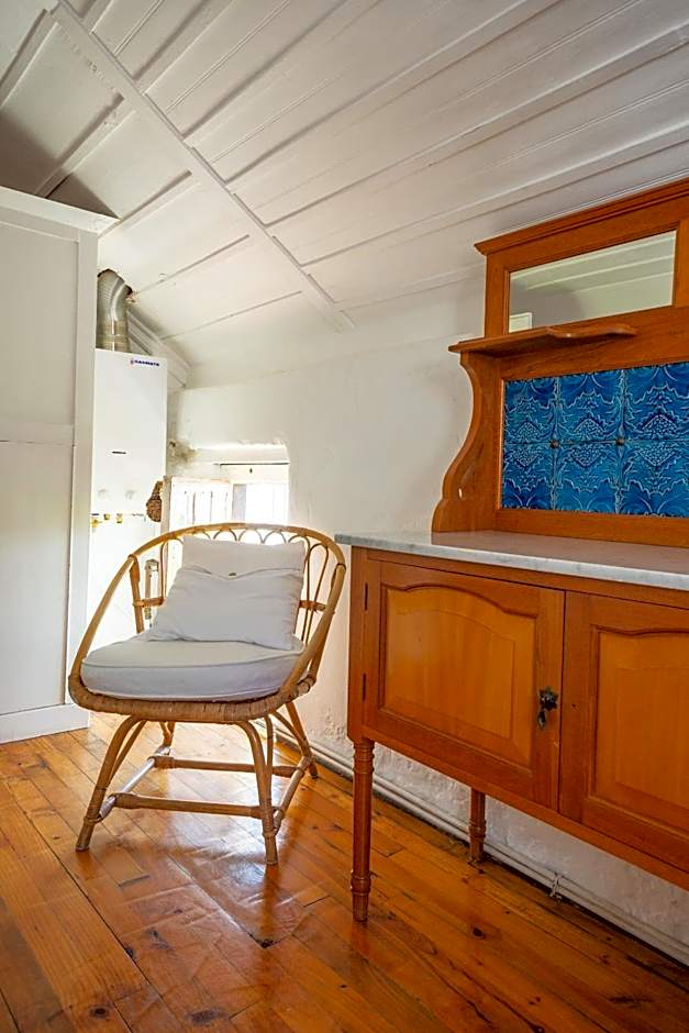 Bosky Dell on Boulders Beach