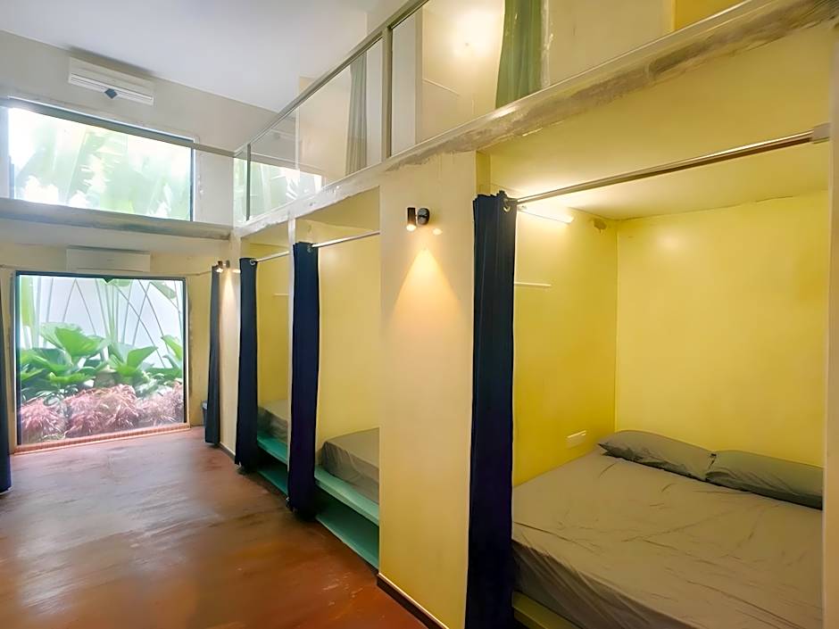 Beds In Garden Hostel