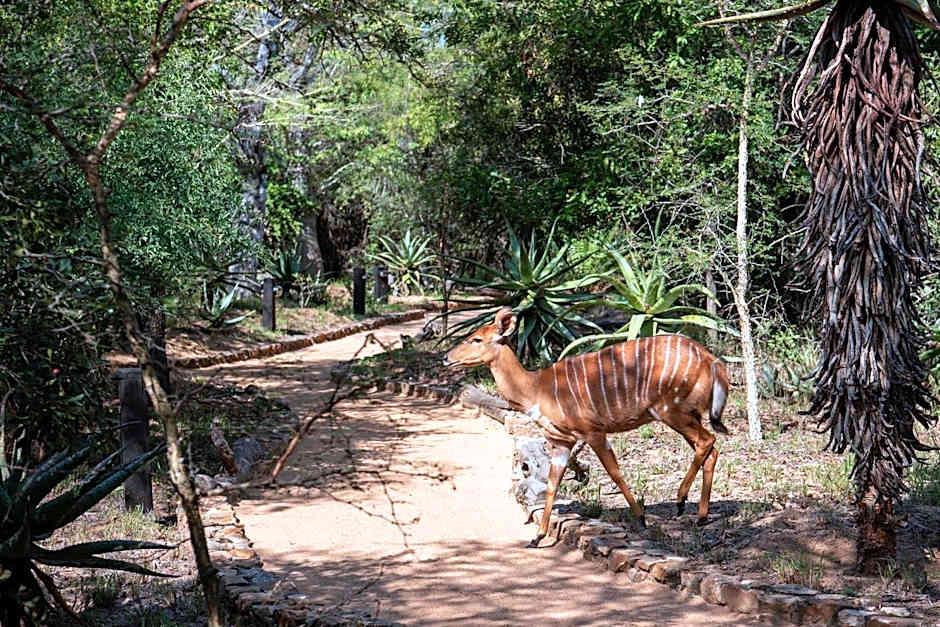 Jabulani Safari Relais & Chateaux