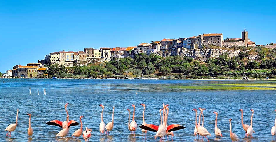 Lalagunebages, Panoramic View