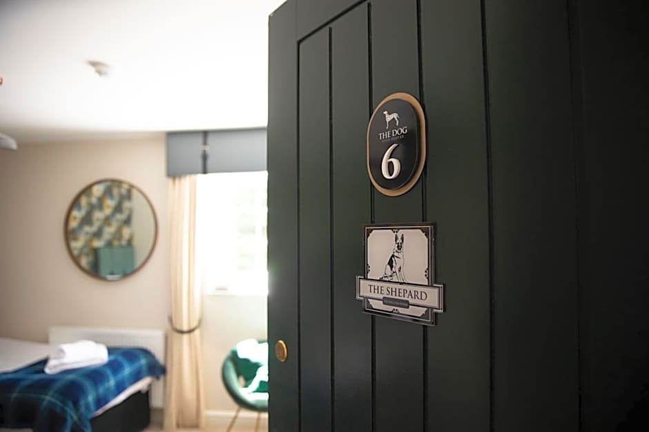 The Dog in Over Peover