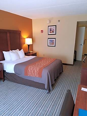 Double Room - Accessible/Non-Smoking