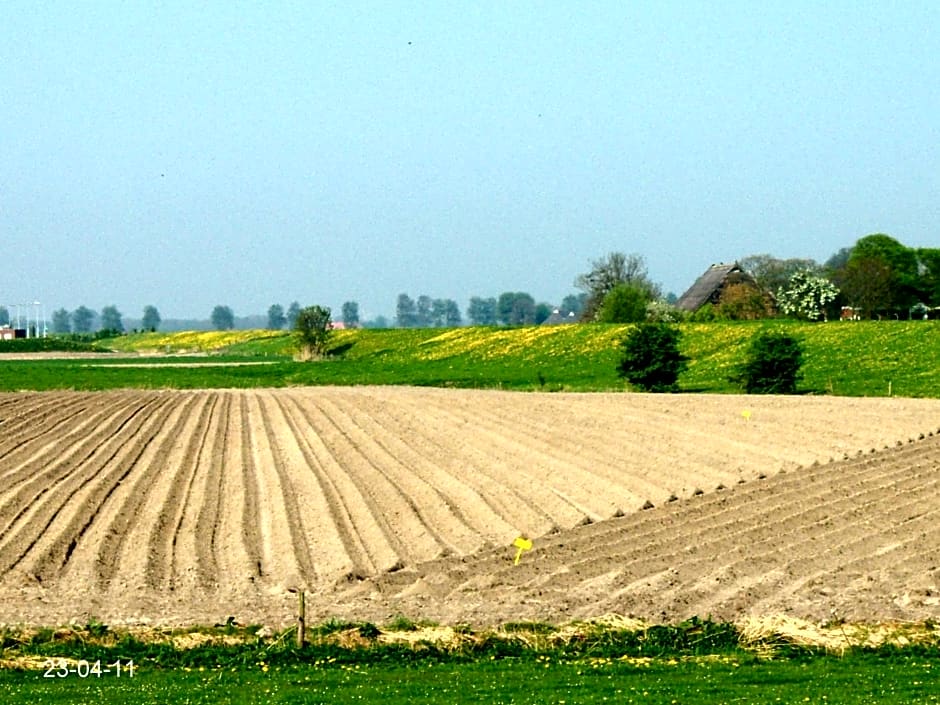 De Twee Paardjes