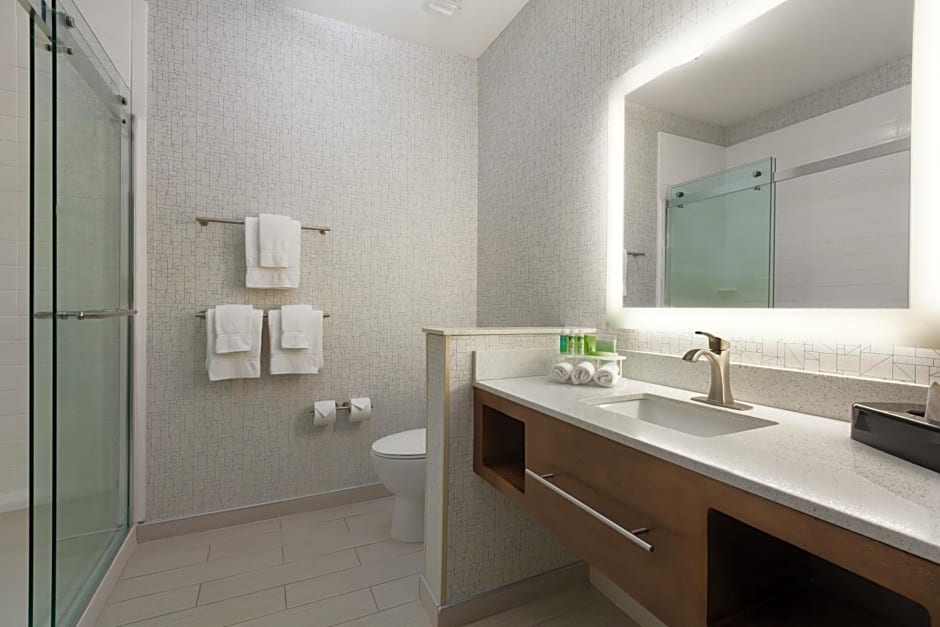 Holiday Inn Express & Suites Edinburg- Mcallen Area, an IHG Hotel