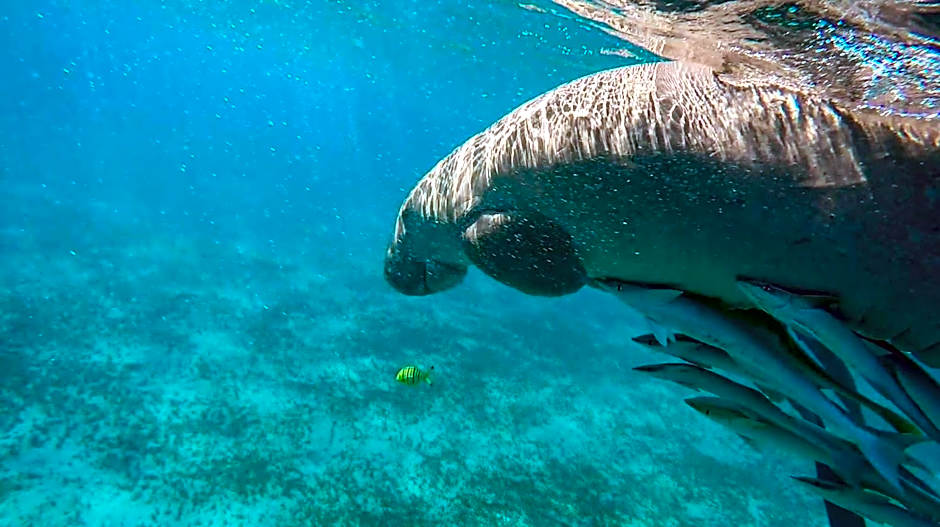 Blue Vision Diving Hotel