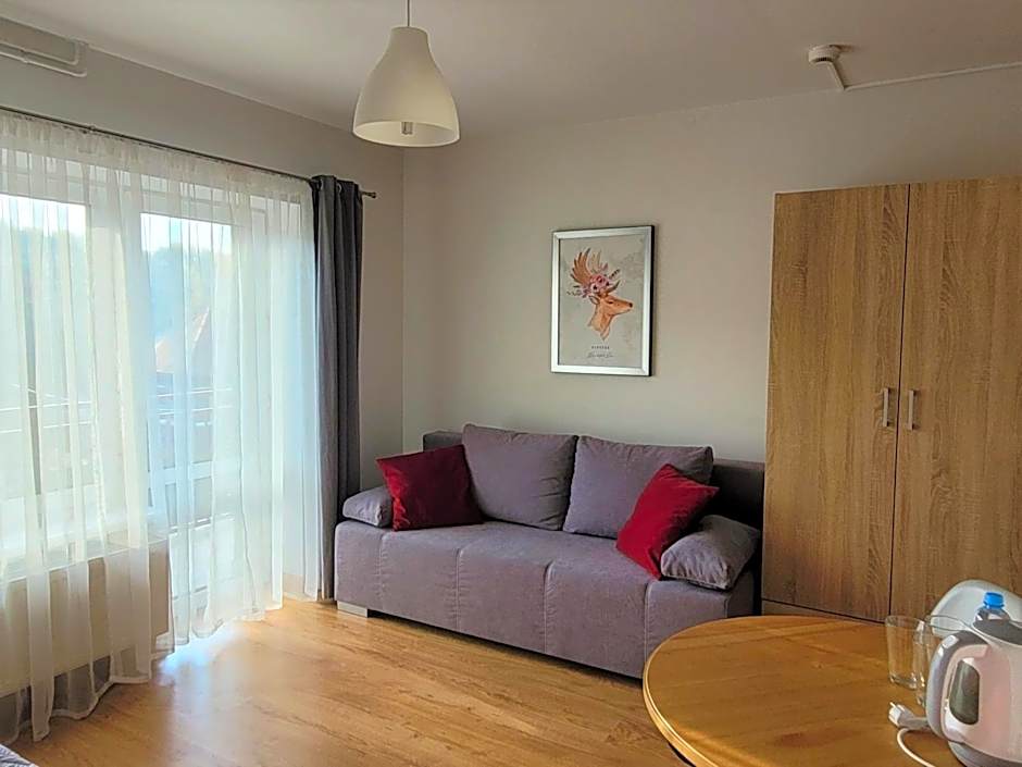 Willa Wiesia Rabka Zdrój