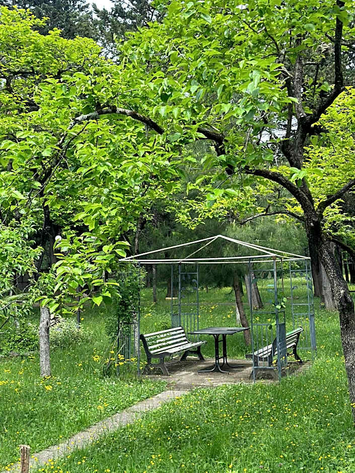 Park Hotel Imeri kutaisi