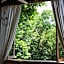Roots Tree House