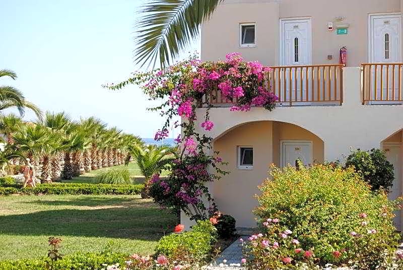 Delfina Tropic Beach