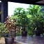 Rakkawan Residence Khaolak