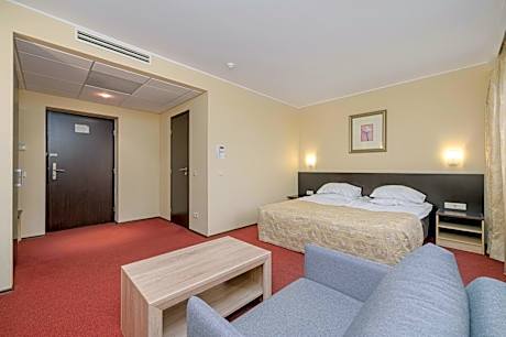 Junior Suite with Spa Bath and Pool and Sauna Access