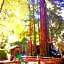Redwoods River Resort & Campground