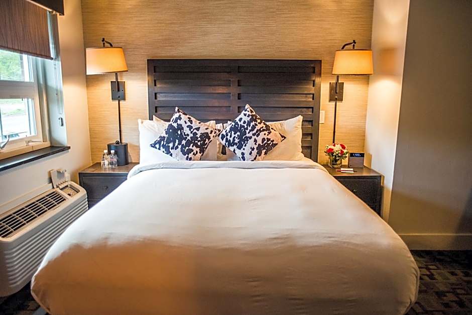 Hi-Ho: A Hi-Tech Hotel