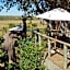 Nambiti Plains Lodge