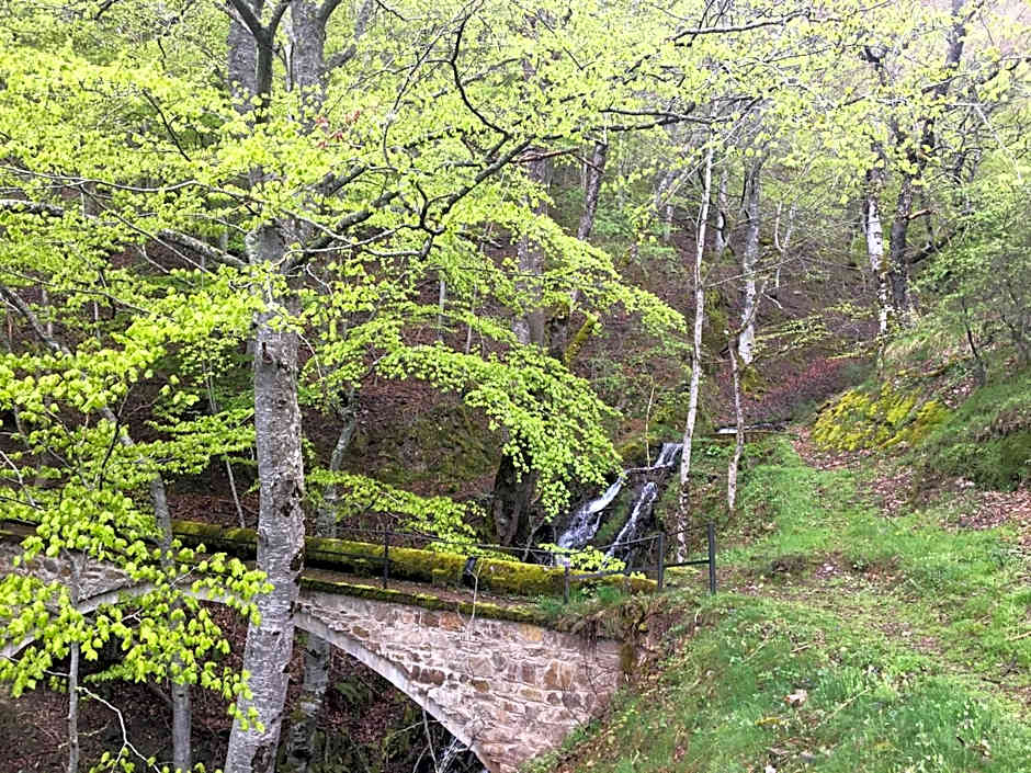 MONASTERIO de SANTA MARÍA DE VALVANERA