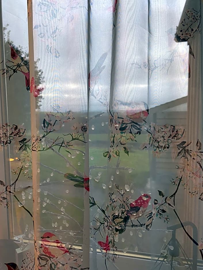 Jacquie's B&B -Dumfries-Room with a view