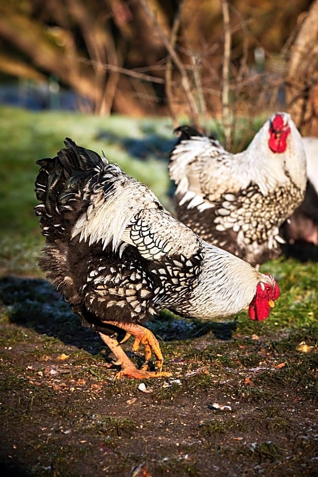 L'INDUS - Le Domaine Wambrechies