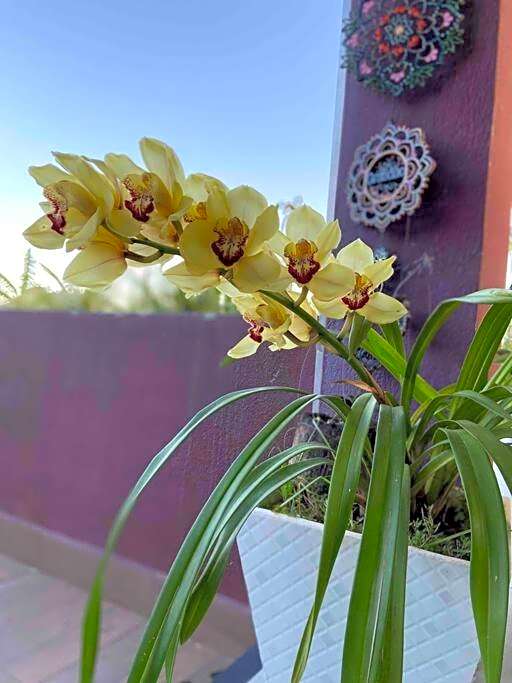 Refúgio Vila da Glória