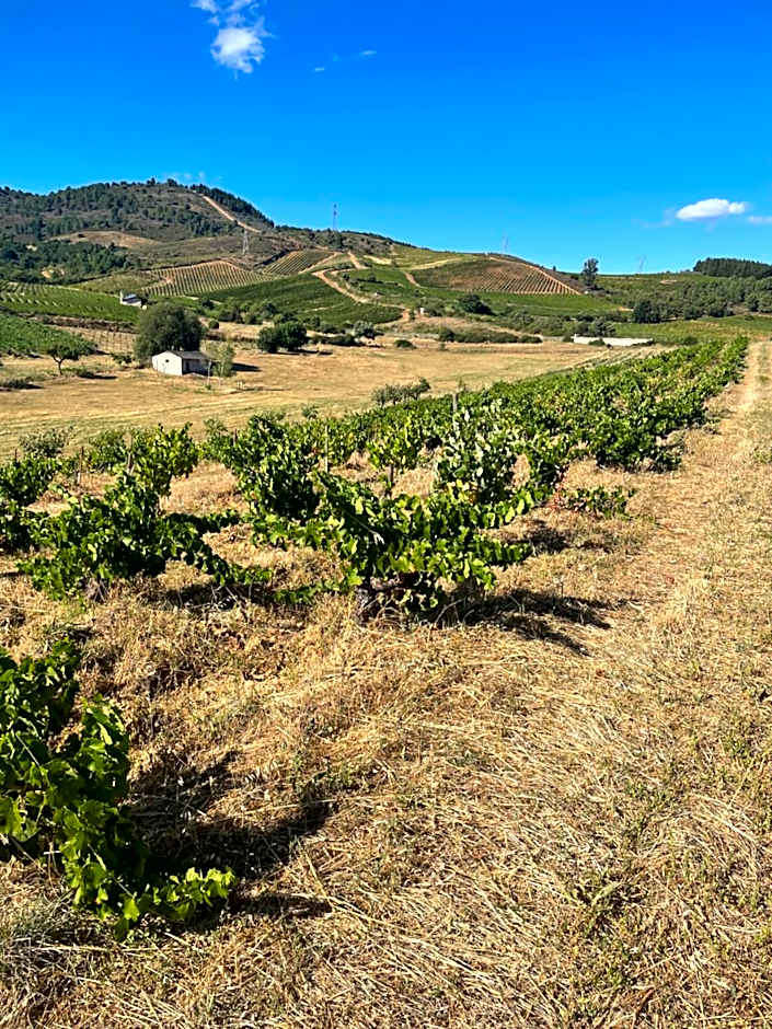 Boutique Finca esencial Hotel Rural
