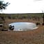 Tingala Lodge - Bed in the Bush