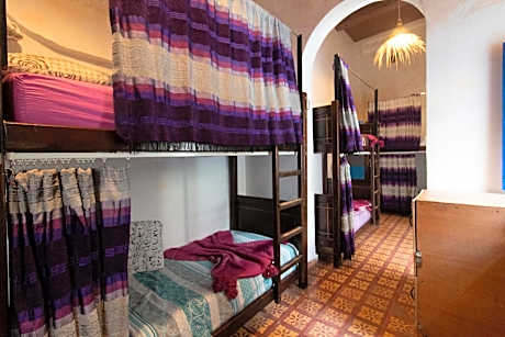 Bed in 8-Bed Mixed Dormitory Room