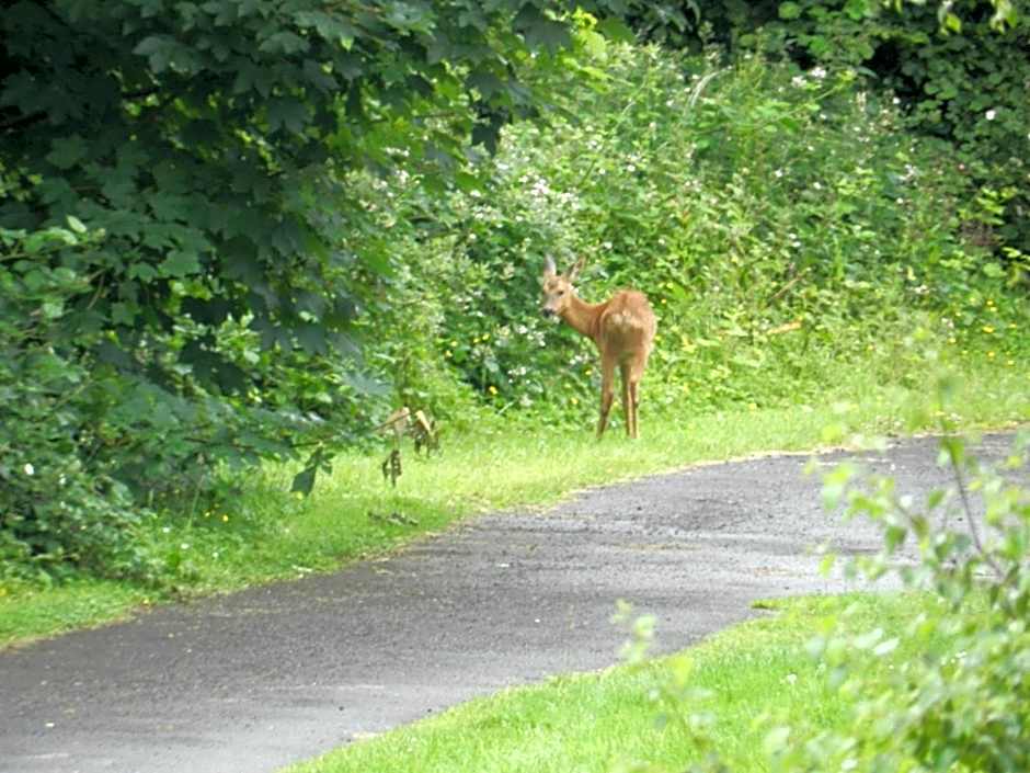 Greenways Valley Holiday Park