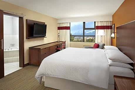 Premium Room, 1 King Bed