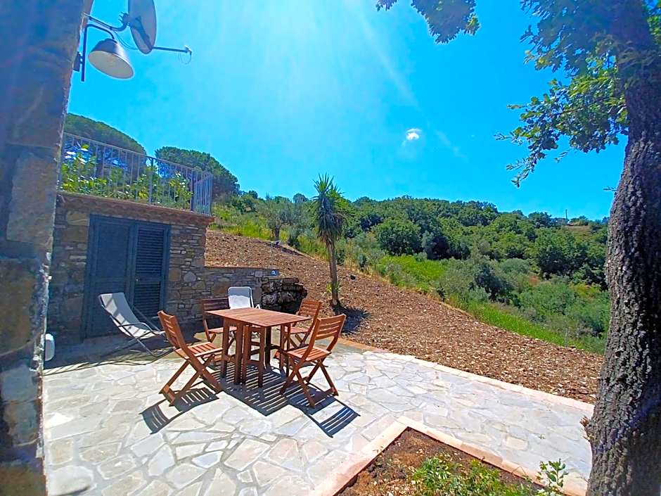 Agriturismo Le Terre di Veneré