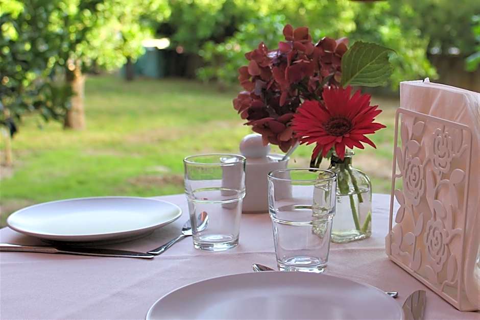 Il giardino degli aranci