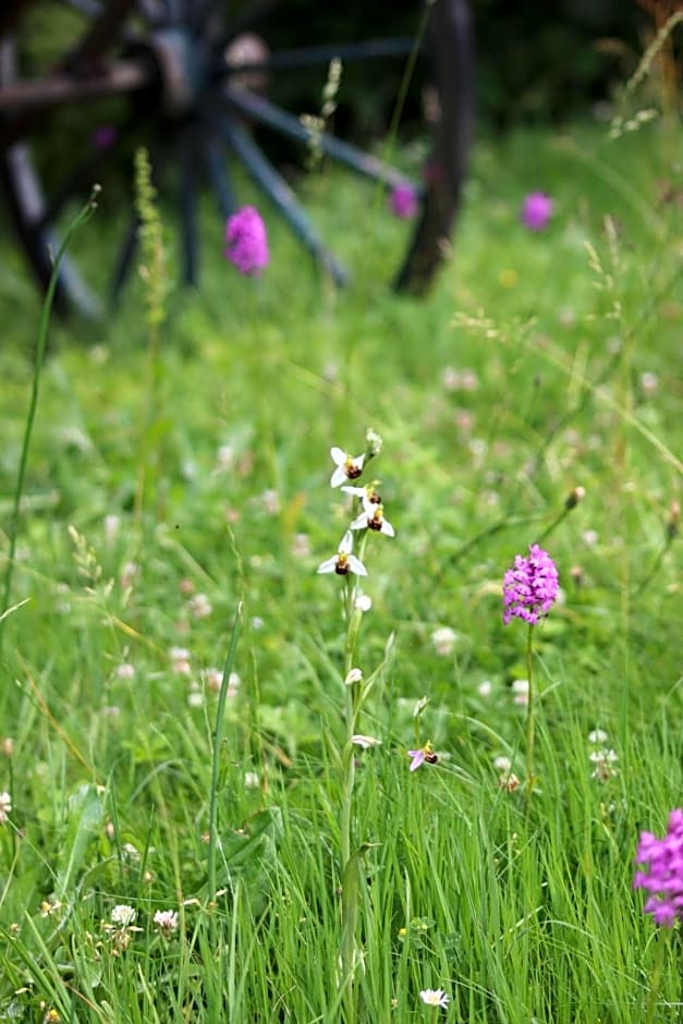 La Garde Pile de Fichou