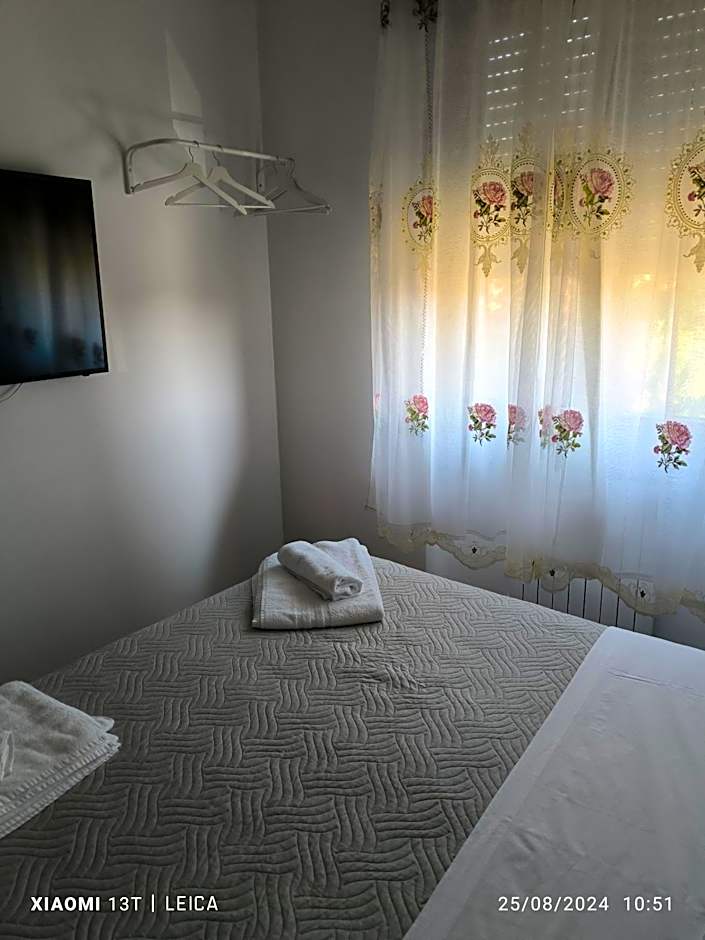 Le piante di casa SaMar