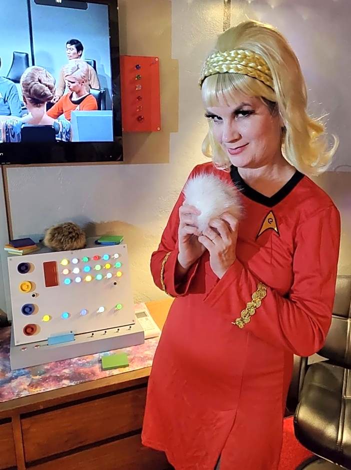 The Star Trek - USS Enterprise Room at the Itty Bitty Inn