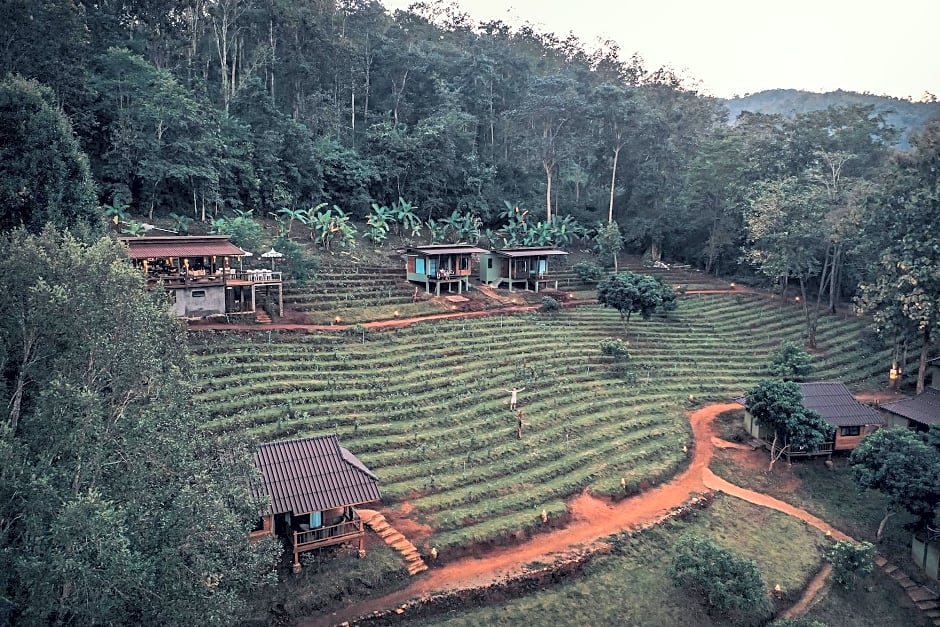 Chiang Mai Elephant Friends