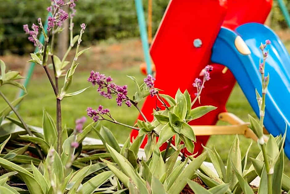 Casa de Campo Tamanduá - Conexão com a Natureza!