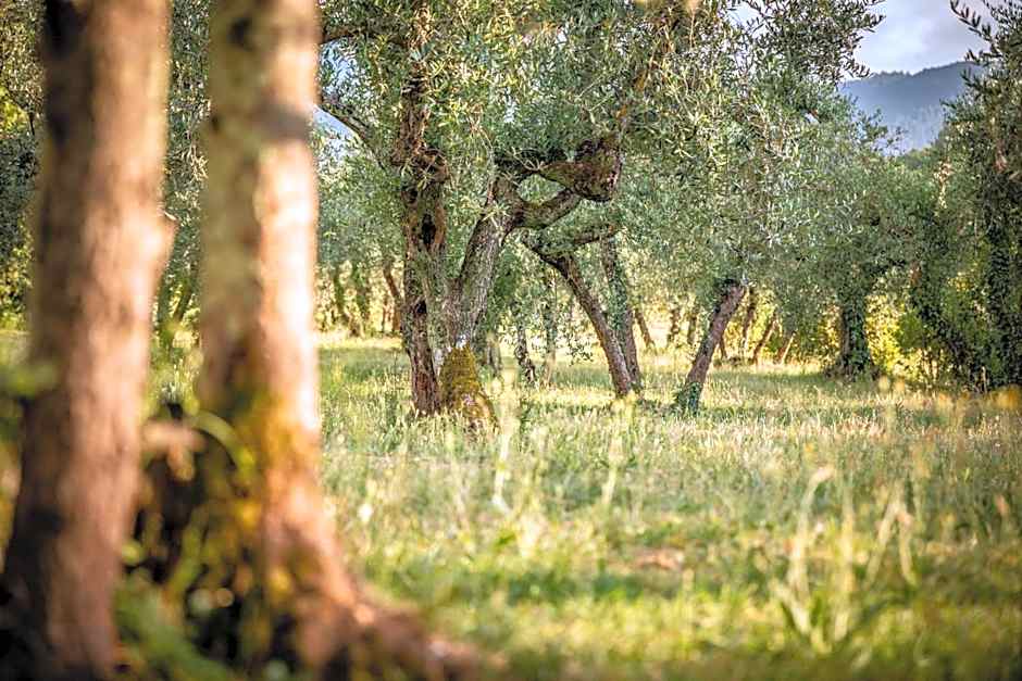 Hotel Ristorante Casa Volpi