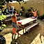 La Palmera Hostel