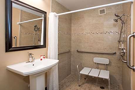 1 Queen Bed Mobility Accessible Room Non-Smoking