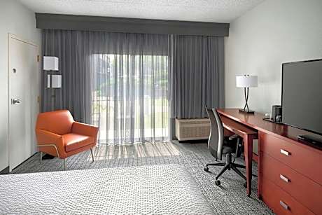 Room, 1 King Bed with Sofa bed (Mobility/Hearing Access, Roll-in Shwr)