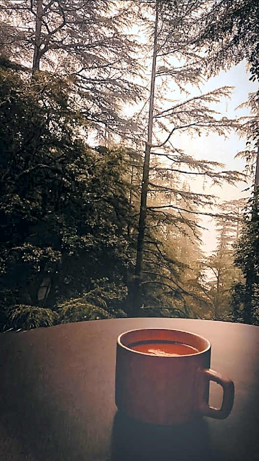 Fairmount Shimla Forest Greens