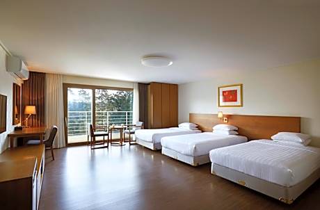 Triple Room with Balcony