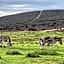 Kudu Ridge Game Lodge