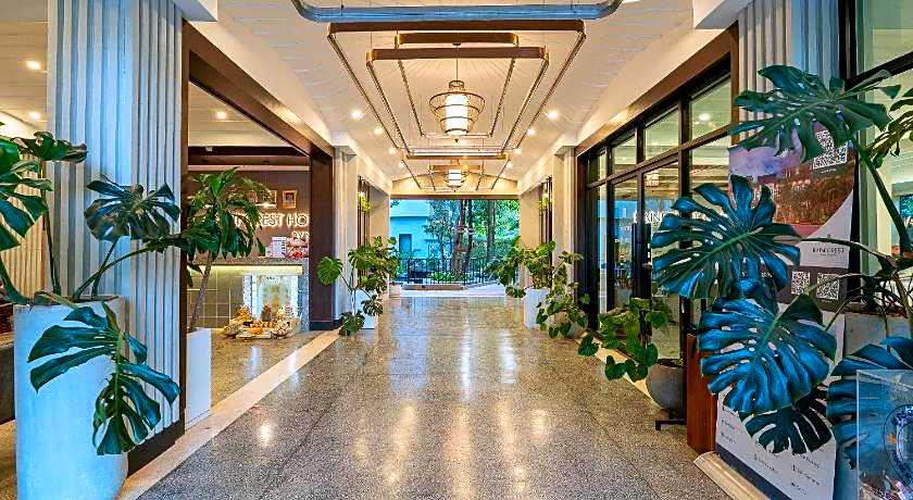 Rainforest Hotel by NSUN