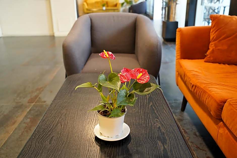 Spirit of Herzl Hotel הרוח של הרצל