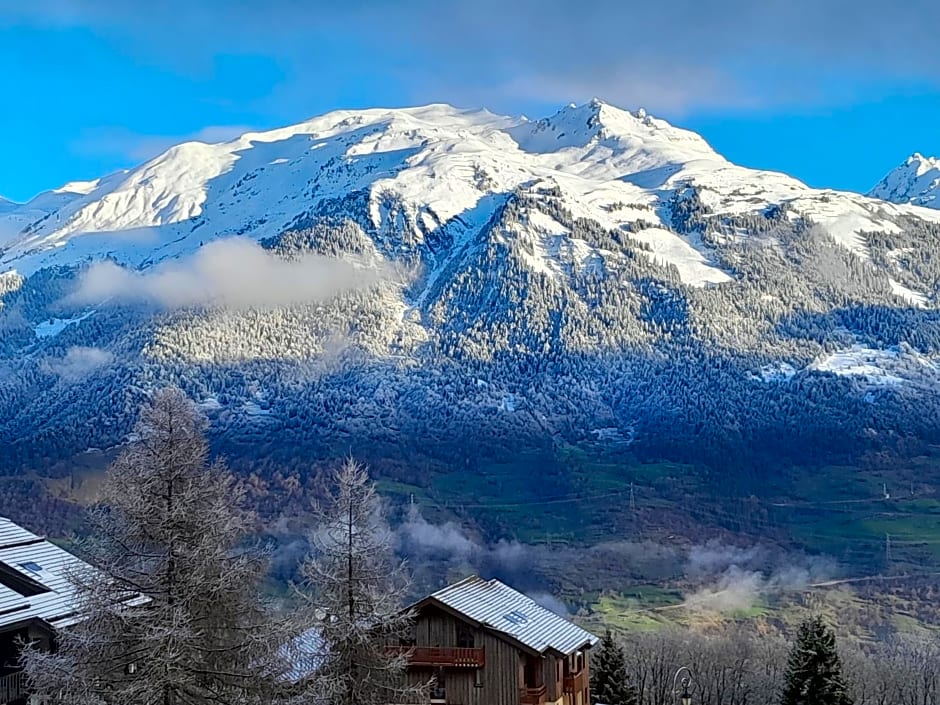 VVF La Plagne Montalbert Paradiski