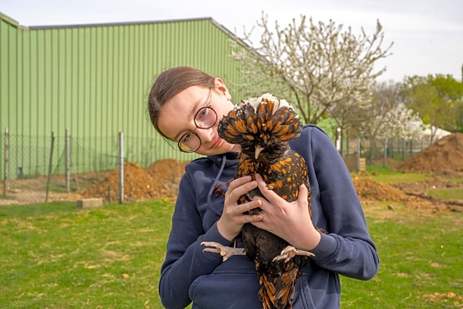 Logements insolites à la ferme - Yourte, Kota ou Pod